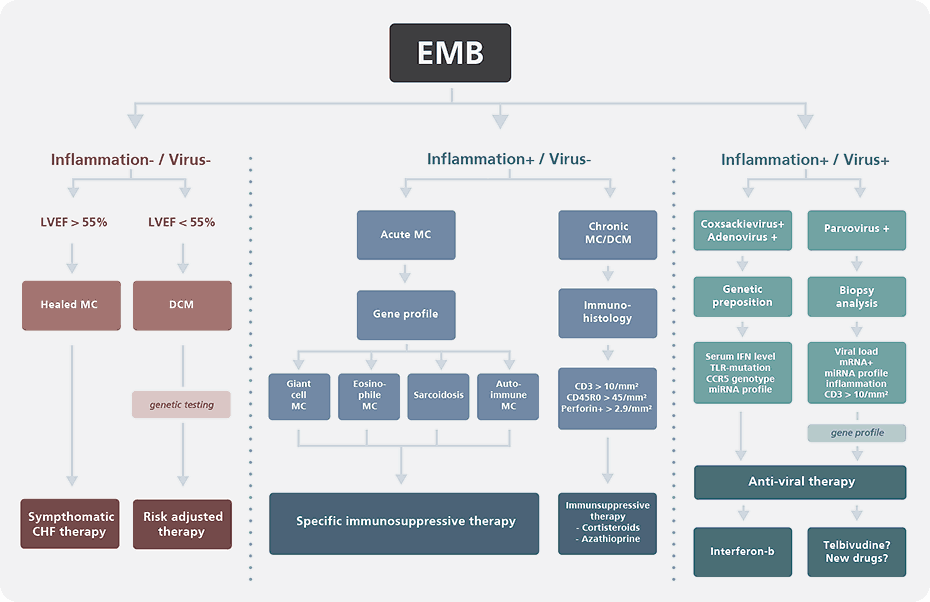 EMB-Schema